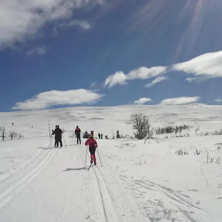 キャンプ場 Torpomoen