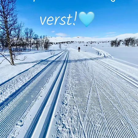 Torpomoen キャンプ場