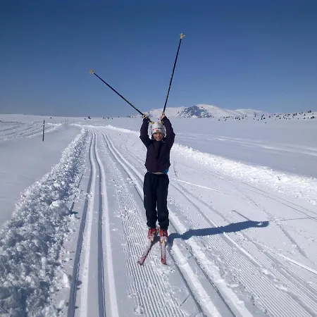Torpomoen 3*