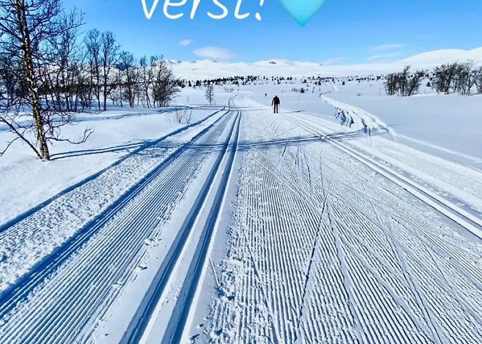 Torpomoen Parque de Campismo